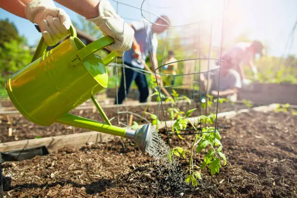 tuin lenteklaar maken