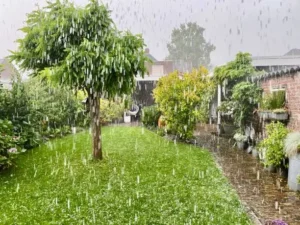regen tuin