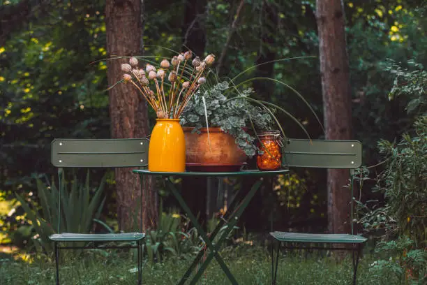 herfstplanten
